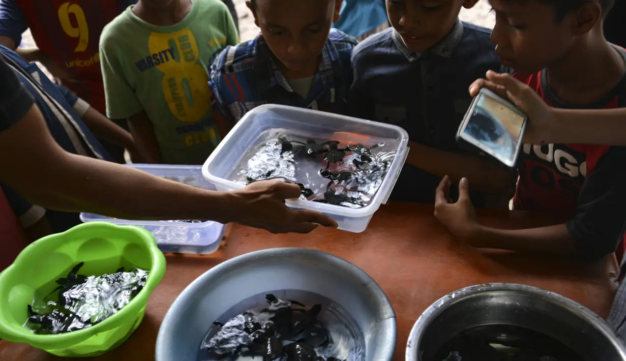 Anak-anak melihat bayi tukik penyu sebelum melepaskannya ke laut saat matahari terbenam di pantai Lhoknga provinsi Aceh (31/1/2020). Pelepasan bayi tukik penyu tersebut wujud kepedulian terhadap lingkungan. (AFP Photo/Chaideer Mahyuddin)