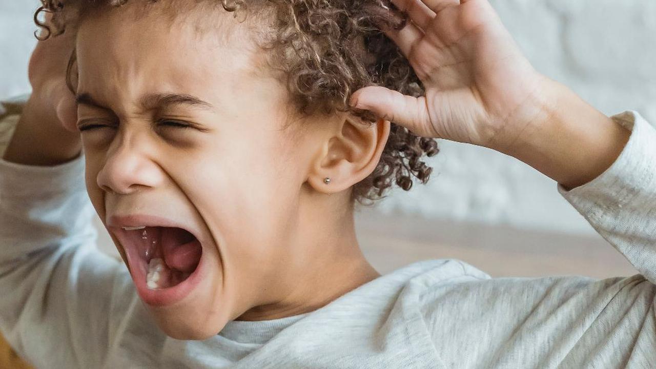 Pola Perilaku Anak yang Mengindikasikan IQ Rendah, Minim Empati serta Intoleransi