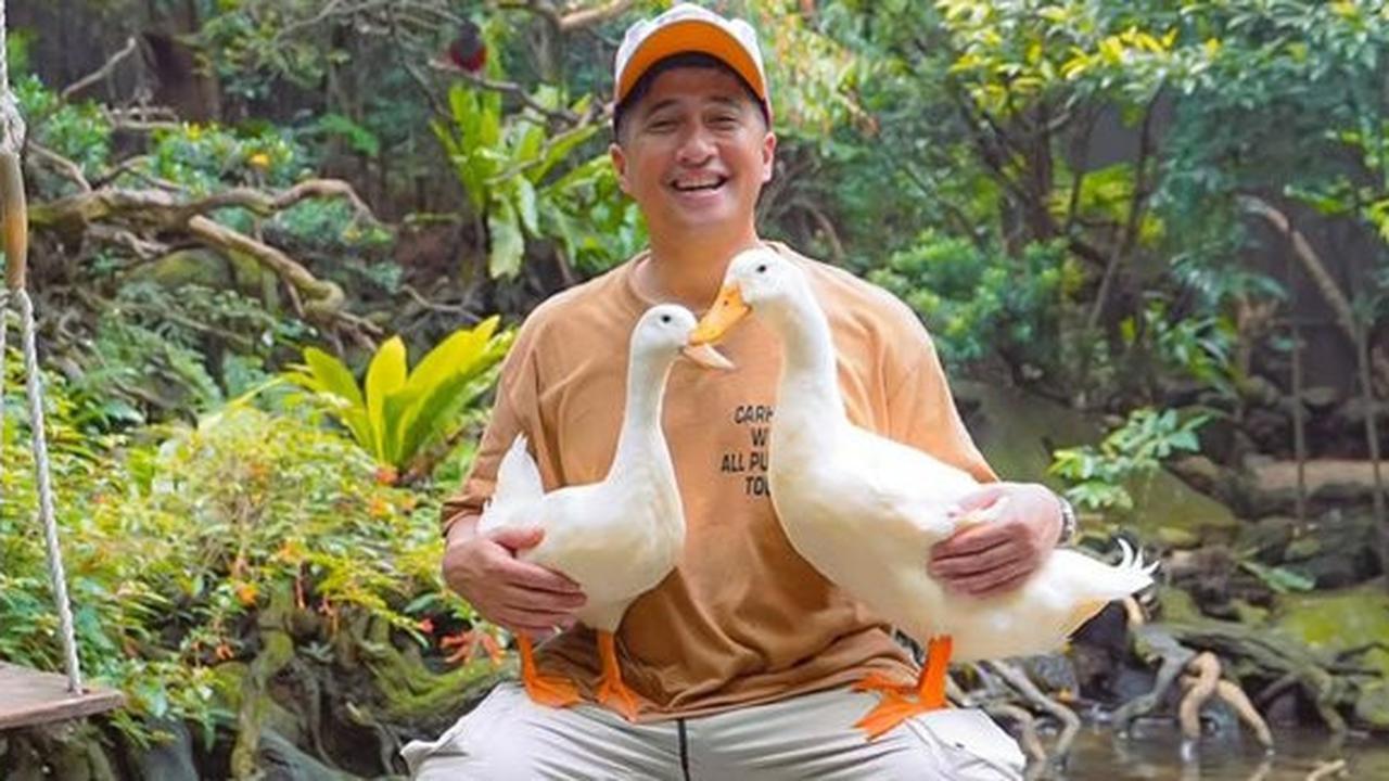 Akhirnya Irfan Hakim Berhasil Wujudkan Impian Lama Punya Akuarium Gantung Raksasa, Isinya Ada Ikan Hiu