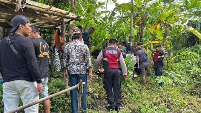 Tragedi Pilu: Alibi Menginap Pacar Terbongkar, Pemuda Tewas di Pohon Alpukat