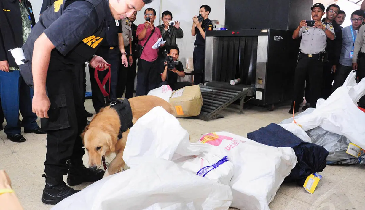 Anjing pelacak dikerahkan saat melakukan rekonstruksi pengungkapan kasus penyelundupan sabu seberat 35 kg asal Iran di Kantor Pos Pasar Baru, Jakarta, Selasa (1/7/14). (Liputan6.com/Faizal Fanani)