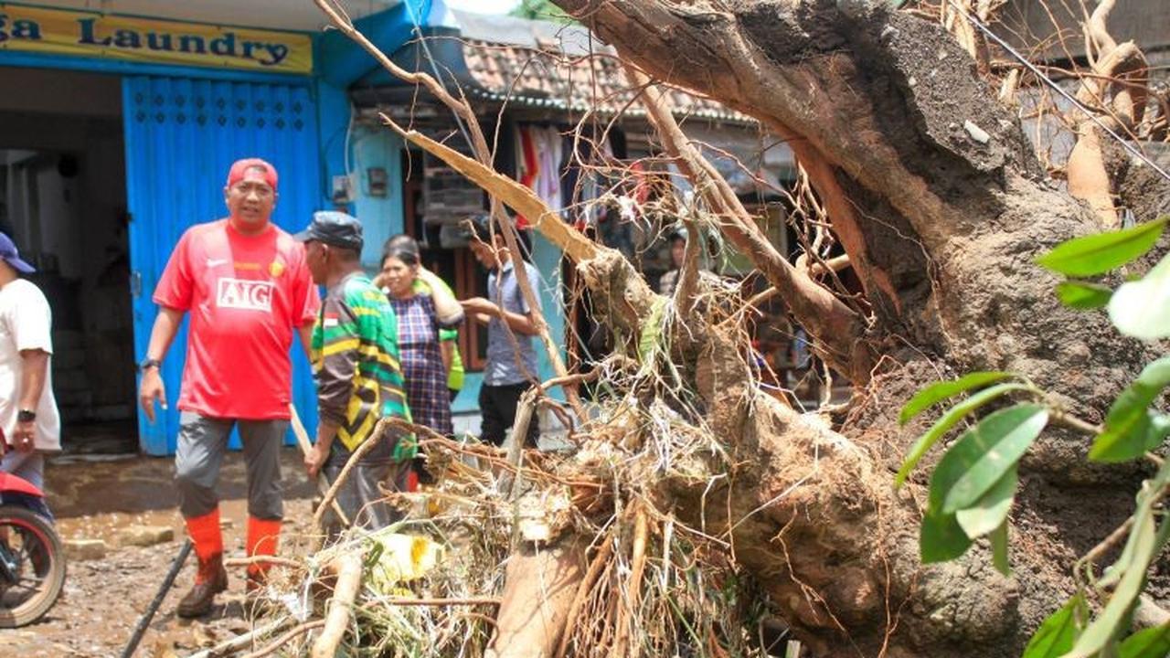 Banjir Situbondo Meluas, Dua Warga Dilaporkan Hilang Terseret Arus Deras