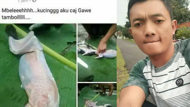 Ingin Terkenal, Pria Ini Kuliti Kucing