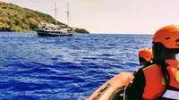 Tim SAR Pastikan Potongan Tubuh di Perut Hiu Milik WNA AS yang Hilang Saat Menyelam