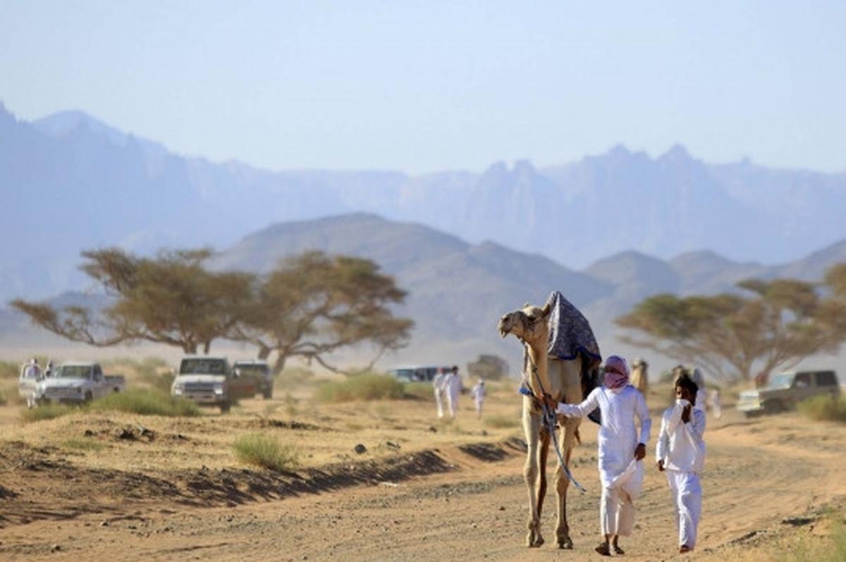 Tradisi balap unta meriahkan Idul Fitri di Arab Saudi