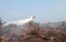 Pesawat Water Bombing Dikerahkan Atasi Kebakaran Gambut di Mesuji