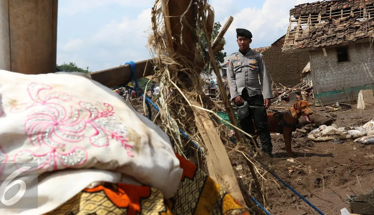 Petugas bersama annjing pelacak K-9 dari Polda Jawa Barat menyisir reruntuhan bangunan rumah akibat banjir bandang di Kampung Bojong Sudika, Cimacan, Garut, Jumat (23/9). (Liputan6.com/Johan Tallo)