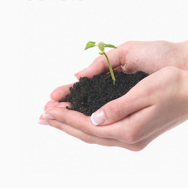 Perusahaan Kertas Terbesar Ri Siap Reboisasi 1 Juta Hektar Hutan Bisnis Liputan6 Com