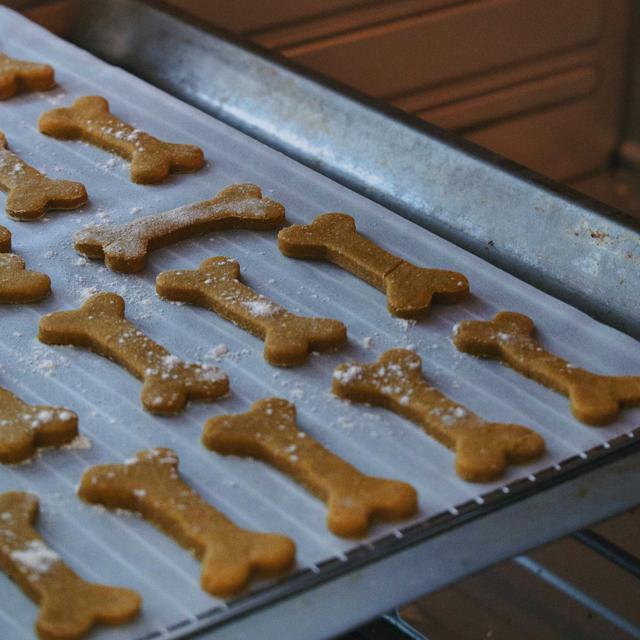 Dog Treat
