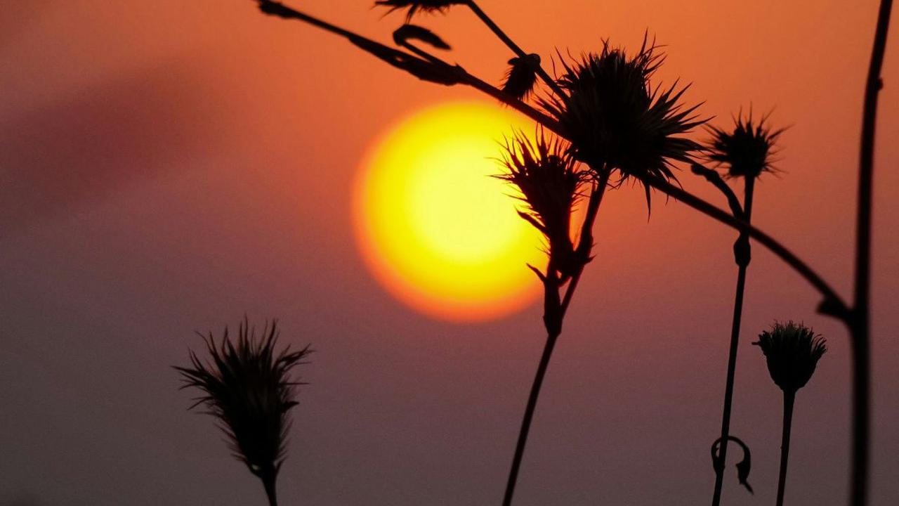 90 Quotes Sunset Estetik untuk Caption, Penuh Makna Indah