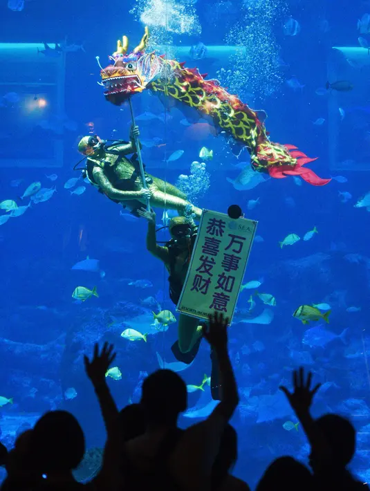 Penyelam menampilkan tarian naga dalam air untuk merayakan kedatangan Tahun Baru Imlek di S.E.A. Akuarium, Singapura, Selasa (14/1/2020). Tahun Baru Imlek 2020 jatuh pada 25 Januari. (Xinhua/Then Chih Wey)