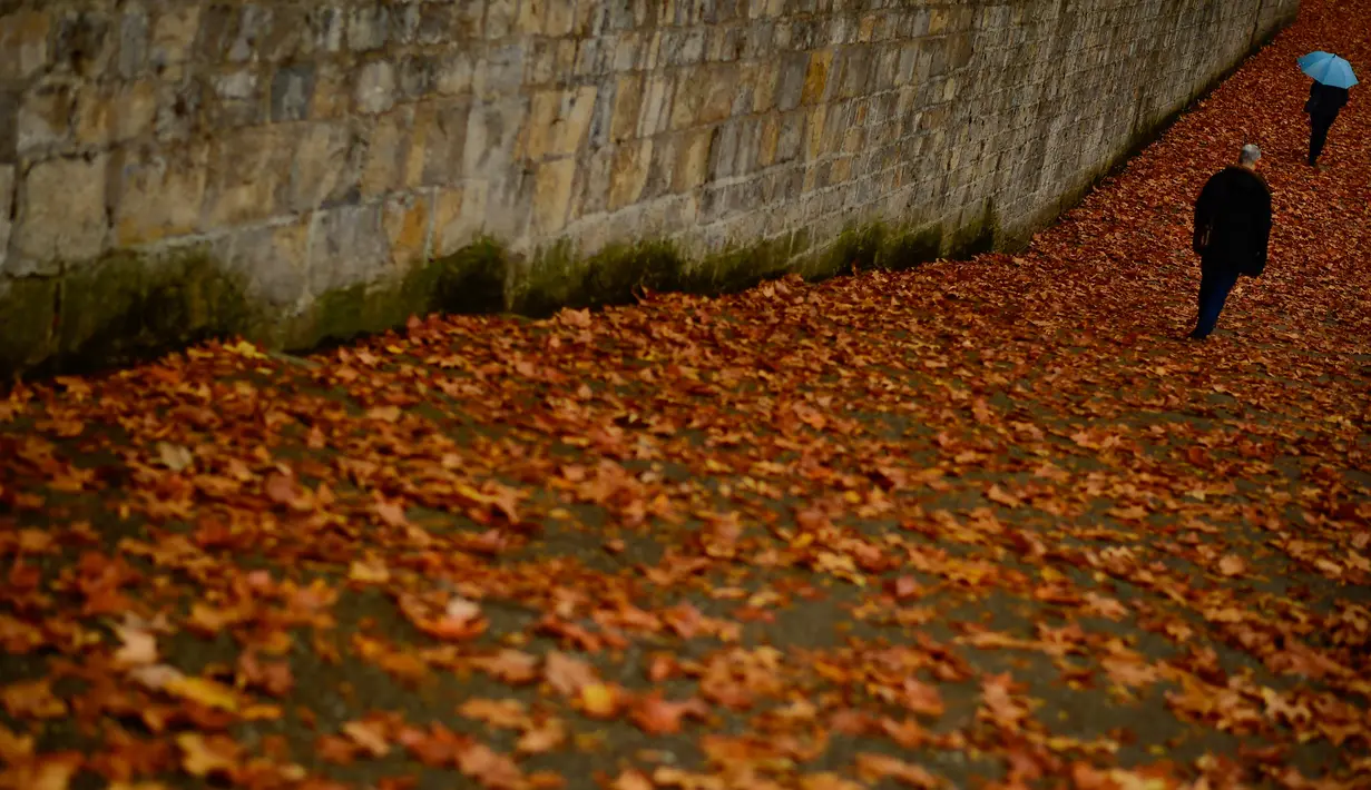 Pejalan kaki menyusuri jalanan yang penuh dengan dedaunan saat musim gugur di Pamplona, Spanyol, Selasa (20/11). (AP Photo/Alvaro Barrientos)