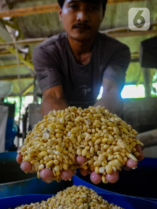 Melemahnya nilai tukar rupiah terhadap dolar AS berdampak pada industri dengan skala mikro. (merdeka.com/Arie Basuki)