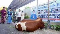 Wakil Ketua MPR RI Edhie Baskoro Yudhoyono (Ibas) menyumbangkan sapi kurban di tanah kelahirannya, Pacitan, Jawa Timur. Ibas juga melaksanakan sholat Idul Adha 2025 di Masjid Agung Pacitan. (Foto: Tim Humas Ibas)