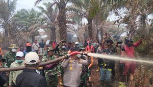 Kebakaran hutan dan lahan (karhutla) yang terjadi di wilayah Kecamatan Teluk Meranti, Kabupaten Pelalawan (Istimewa)