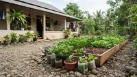 Cara Menyulap Sudut Pekarangan Berbatu Menjadi Kebun Sayur, Ini 9 Langkah yang Bisa Dicoba