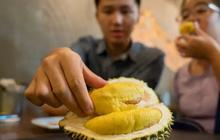 Studi: Durian Monthong Lebih Unggul Dibanding Durian Asal China