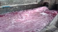 Sungai Kalibening di Jember berubah warga jadi merah (Liputan6.com/Fauzan)