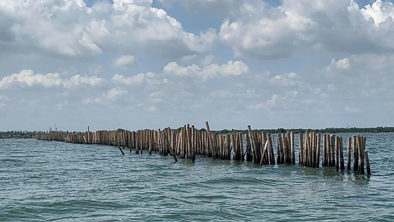 Terungkap, Ini Alasan Sisa Pagar Laut Tangerang Tak Kunjung Dibongkar