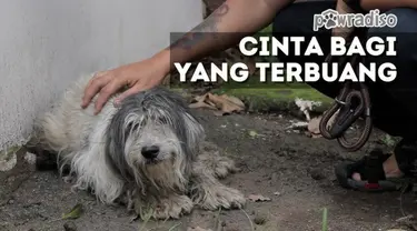 Doni Herdaru, Si Animal Defenders menerima laporan seekor anjing yang menderita penyakit aneh. Anjing itu diduga dibuang pemiliknya