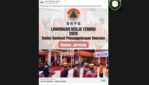Hoaks Catut BNPB Beredar di Media Sosial, Simak Daftar dan Faktanya