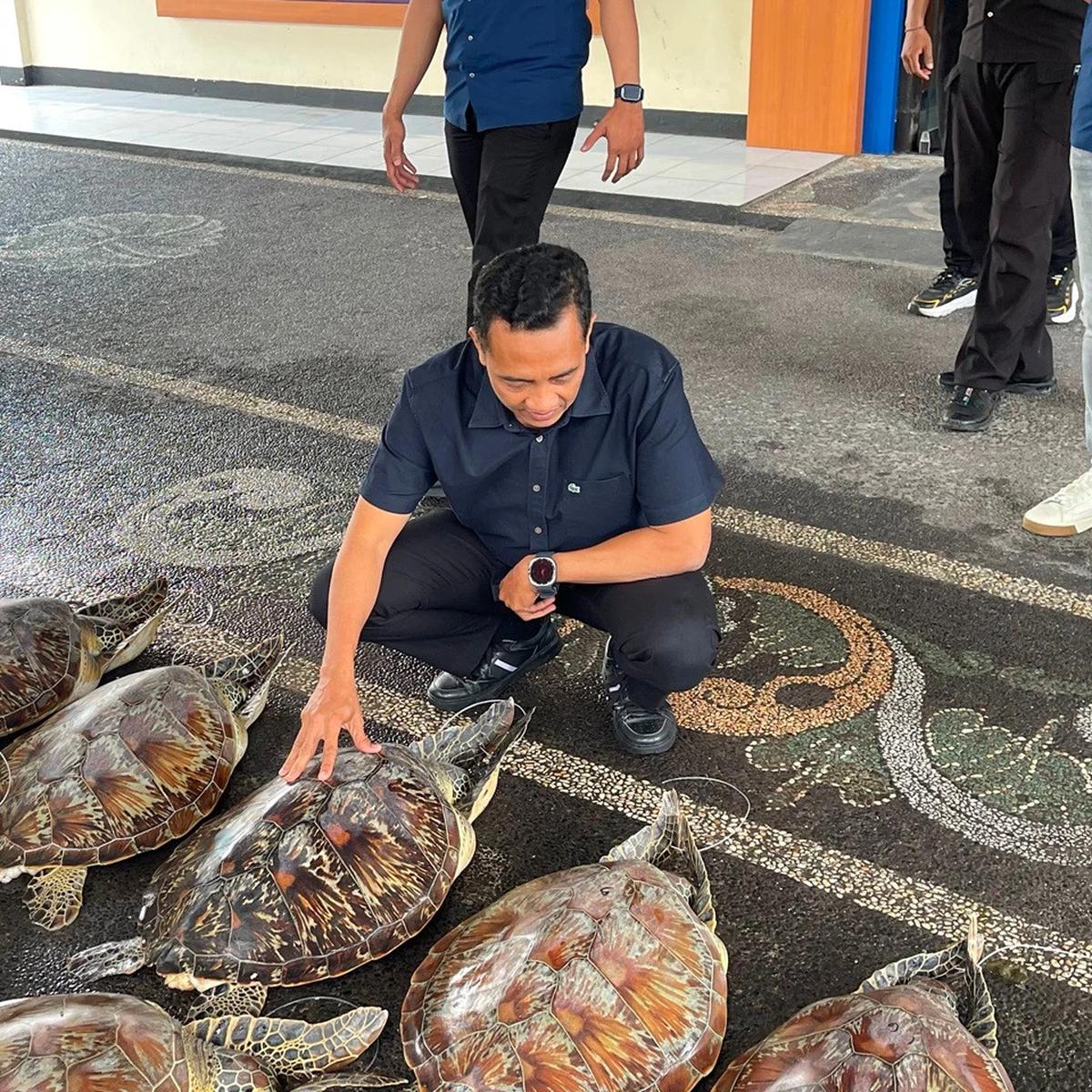 Penyelundupan Penyu di Bali