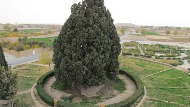 Zoroaster Sarv
