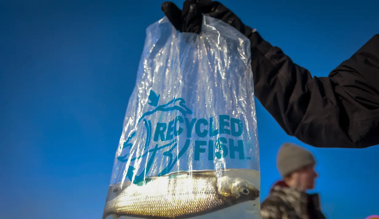 Pemancing memegang ikannya saat menunggu penimbangan dalam acara Brainerd Jaycees Ice Fishing Extravaganza ke-32 di Gull Lake's Hole, Minnesota pada 29 Januari 2022. Hampir 10.000 pemancing dari Minnesota dan negara bagian lain menghadiri kontes memancing es amal terbesar di dunia. (Kerem Yucel/AFP)