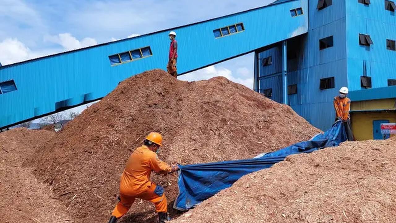 Potensi Biomassa Indonesia dari Limbah Pertanian Capai 130 Juta Ton per Tahun