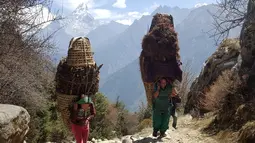 Sejumlah warga membawa kayu bakar yang diambil dari sebuah hutan di Lembah Khumbu, kaki Gunung Everest, Nepal, pada 14 April 2016. (REUTERS/Antoni Slodkowski)