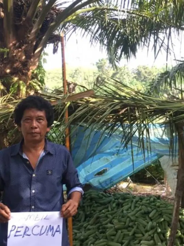 Kisah Petani yang Berikan Mentimun Gratis Kepada Masyarakat Ini Bikin Haru