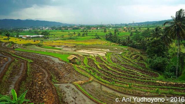 Karya Fotografi Ani Yudhoyono