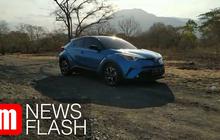 VIDEO: Toyota CH-R Hybrid Taklukkan Taman Nasional Baluran