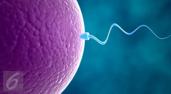 Ilustrasi Sperma atau Sel Reproduksi Laki-laki. (iStockphoto)