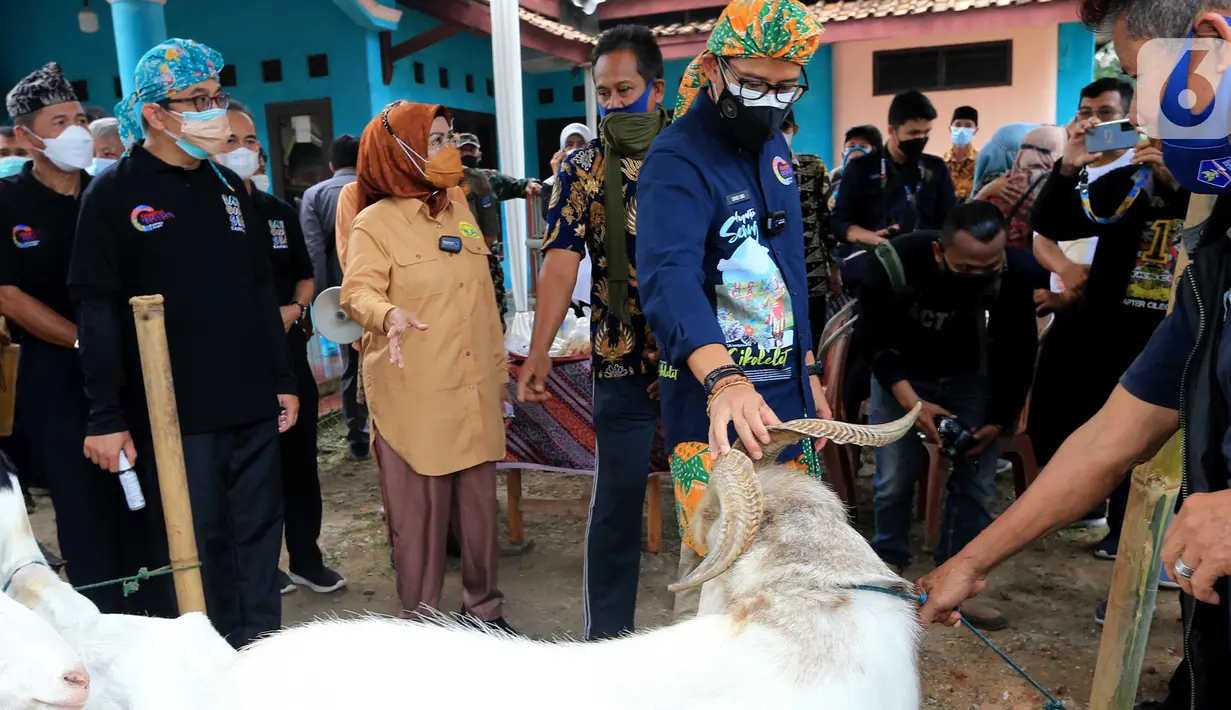 Pada kesempatan itu Menteri Parekraf Sandiaga Uno juga memberikan dana untuk modal tambahan Ibu Entu senilai Rp6,7 juta untuk kebutuhan penyediaan peralatan budidaya jamur. (Liputan6.com/HO/Parekraf)