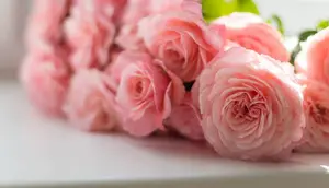 7 Tanaman Kelopak Bunga Bertumpuk yang Cantik