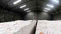 Pengusaha Nilai Penunjukan Bulog jadi Importir Daging Keliru