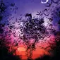 Poster film Bats: HUman Harvest. (IMDb/Bats Human Harvest)