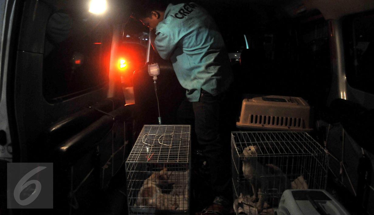 Sumber dana utama perawatan hewan-hewan ini berasal dari dana pribadi Doni dan relawan Animal defender. Animal defender juga membuka usaha penitipan hewan dan layanan Pet Taxi untuk mengantar hewan-hewan ke klinik atau dokter. (Liputan6.com/Johan Tallo)