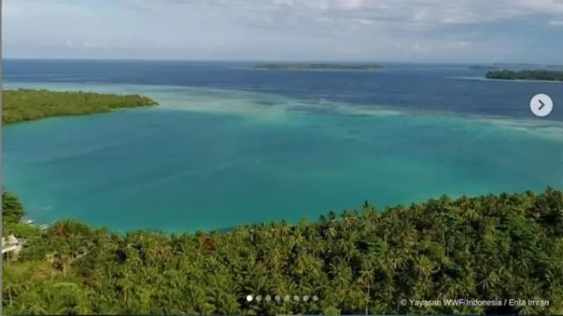 Maluku Tetapkan 4 Kawasan Konservasi Baru Indonesia