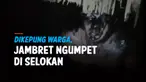 JAMBRET NGUMPET DI SELOKAN, TAKUT DIHAJAR WARGA