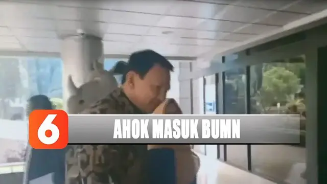 Bocoran BUMN yang Akan Diisi Ahok