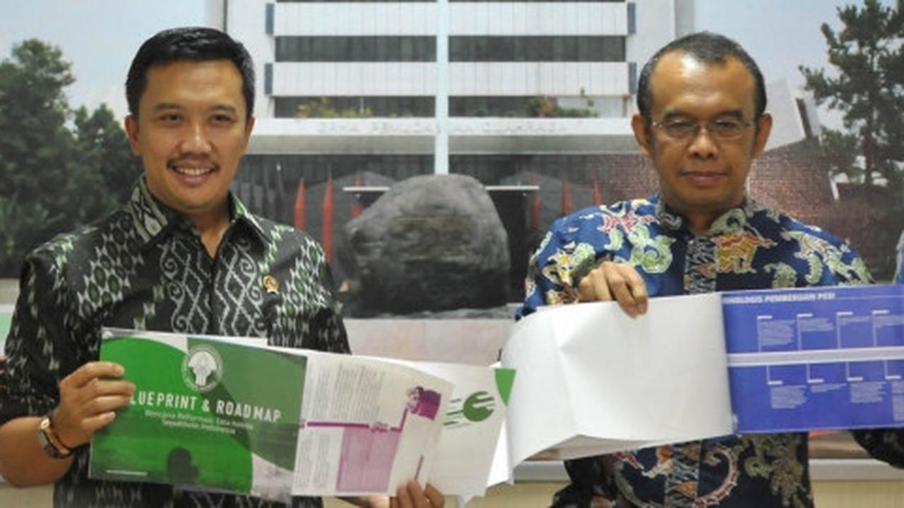 Tim Transisi bakal paparkan kondisi sepakbola Indonesia ke FIFA dan