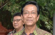 Sultan HB X minta polisi tindak pelaku pembakaran gereja di Bantul
