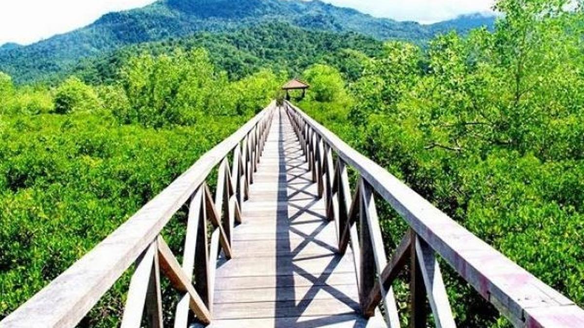 Tak Hanya Demi Kesehatan, Karyawan Chandra Asri Dedikasikan Setiap Kilometer Lari untuk Penanaman Mangrove