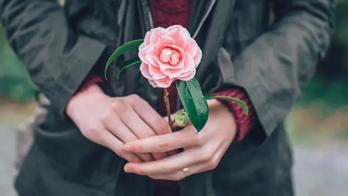 Foto: copyright pexels.com