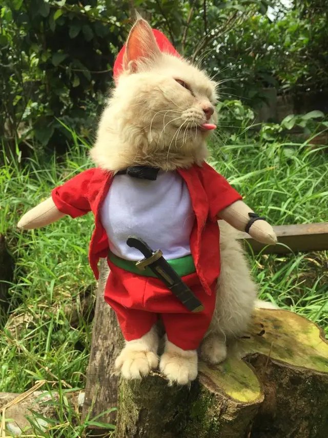 Viral Kostum Kucing Unik, Ada yang Mirip Penjual Cuanki Hingga Dokter. (Sumber: Twitter/@usingcloath5)