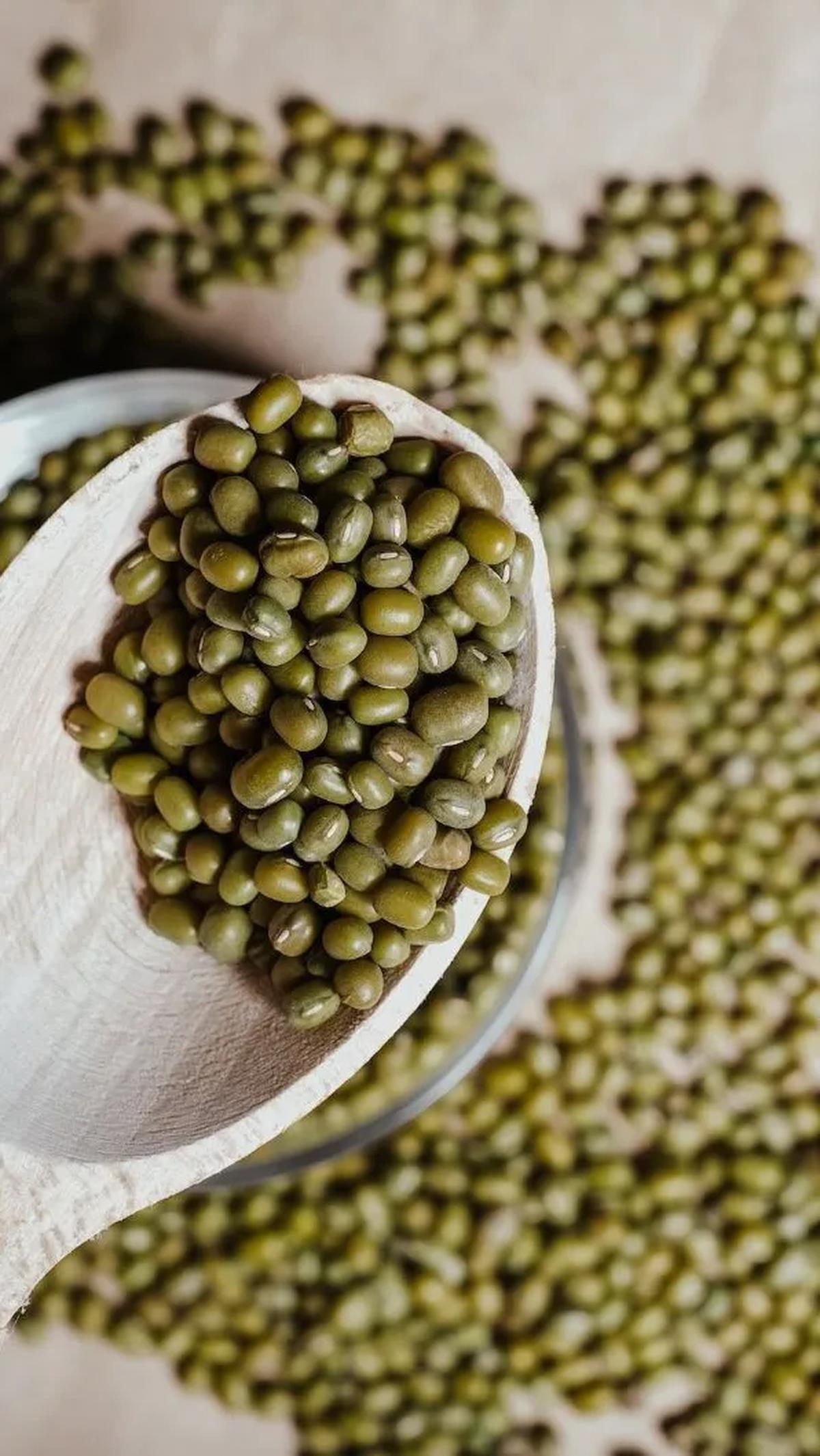 1.&nbsp;Asupan Nutrisi dan Gizi: Kacang hijau merupakan sumber nutrisi dan gizi harian yang penting, memberikan asam amino esensial dan protein.
