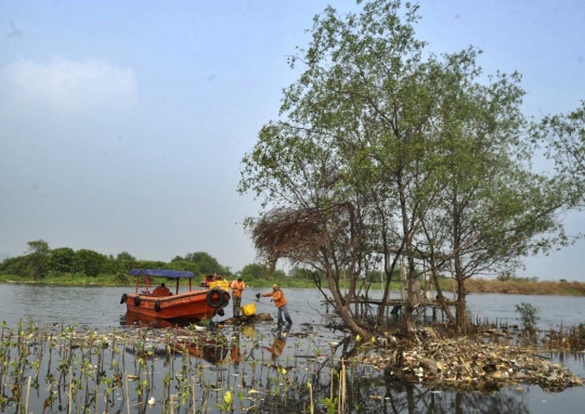 Melihat aksi para penjaga kebersihan pantai
