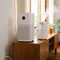 Bedanya Air Purifier dan Humidifier, Pahami Fungsi dan Cara Memilihnya agar Tak Salah Beli